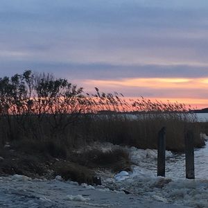 Meet your Posher, Virginia